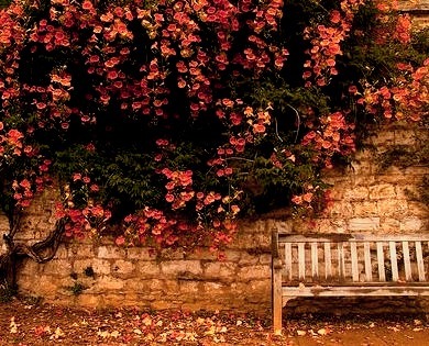 Autumn, Cambridge, England