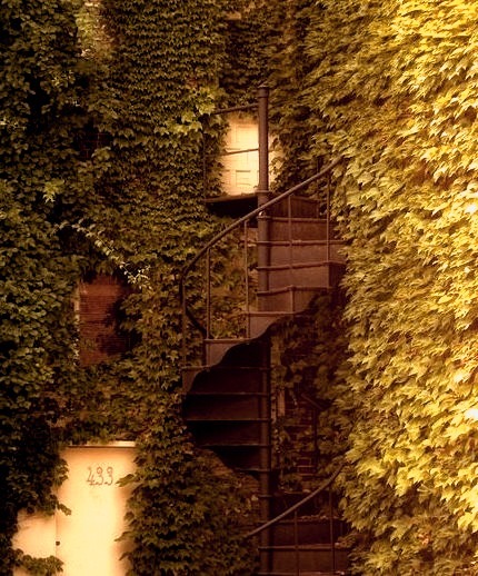 Ivy Staircase, Dublin, Ireland