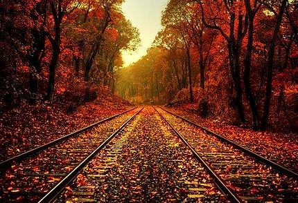 Autumn Tracks, Pennsylvania