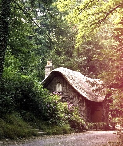 Hidden Forest Cottage, The Netherlands