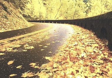 Autumn Road, Columbia Gorge, Oregon