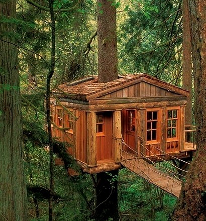 Blue Moon Treehouse, Issaquah, Washington