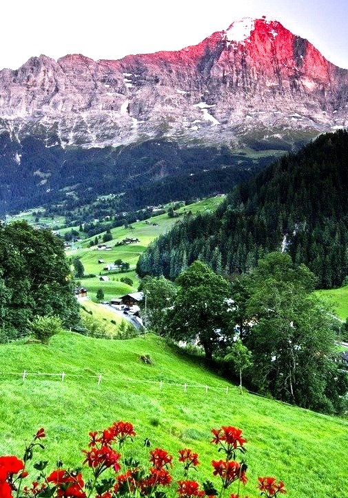 Mountain Valley, Grindelwald, Switzerland 